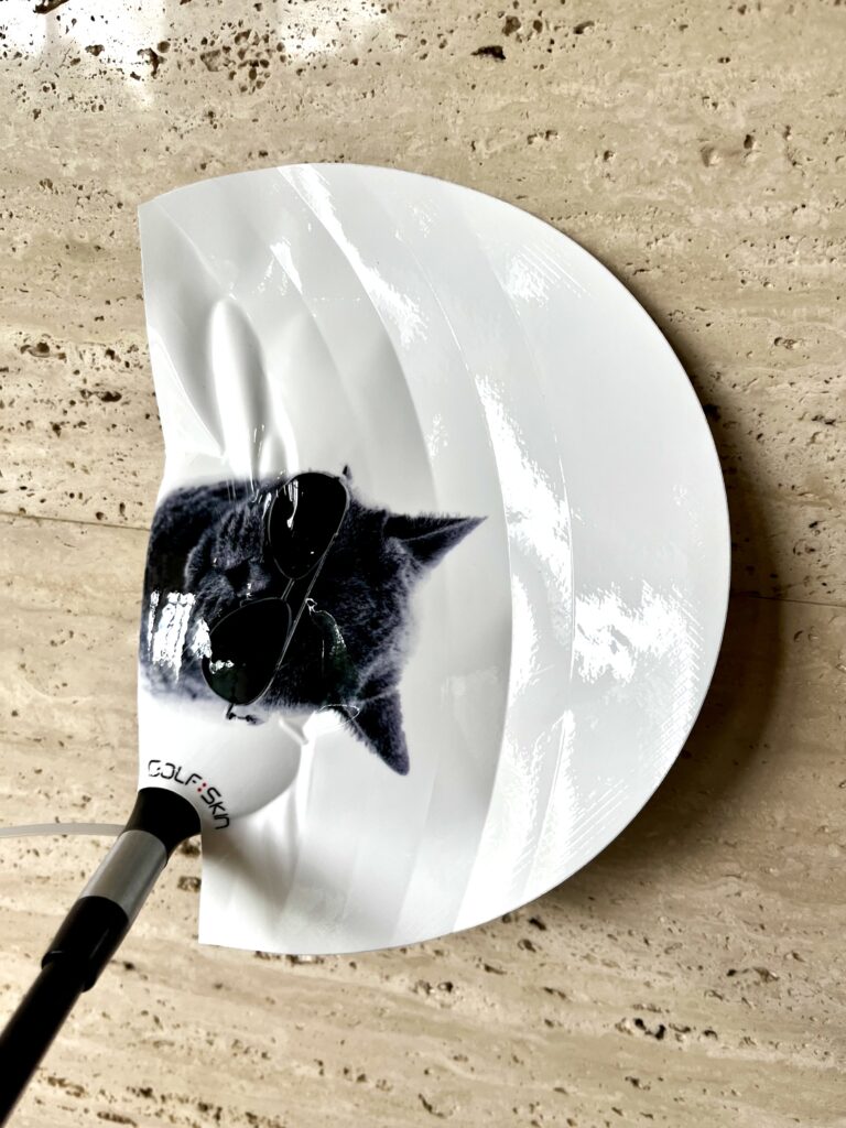人気の猫ちゃんです。