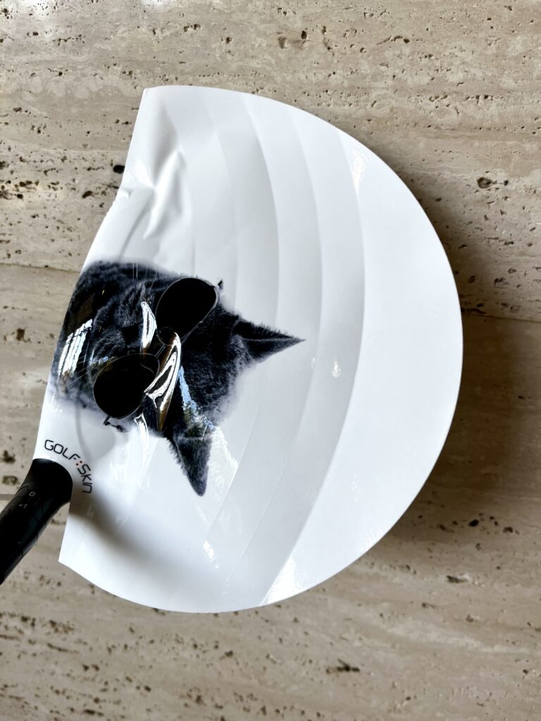 安定人気の猫ちゃんです。