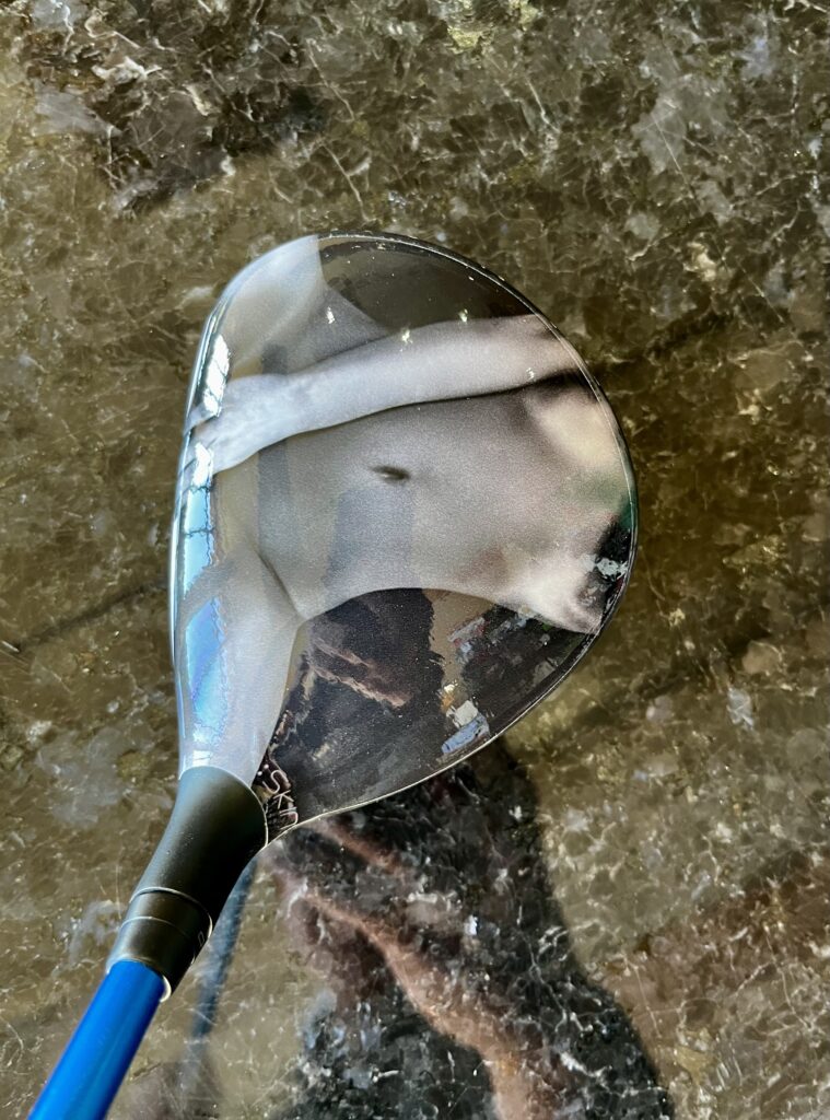 なかなかの迫力ですね!